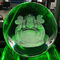 Machine de gravure de laser monophasé 3D pour les boules de cristal maximum de diamètre de 200mm fournisseur